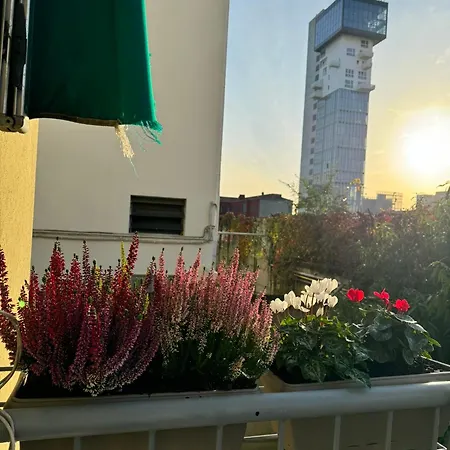 Venice Grey מסטרה